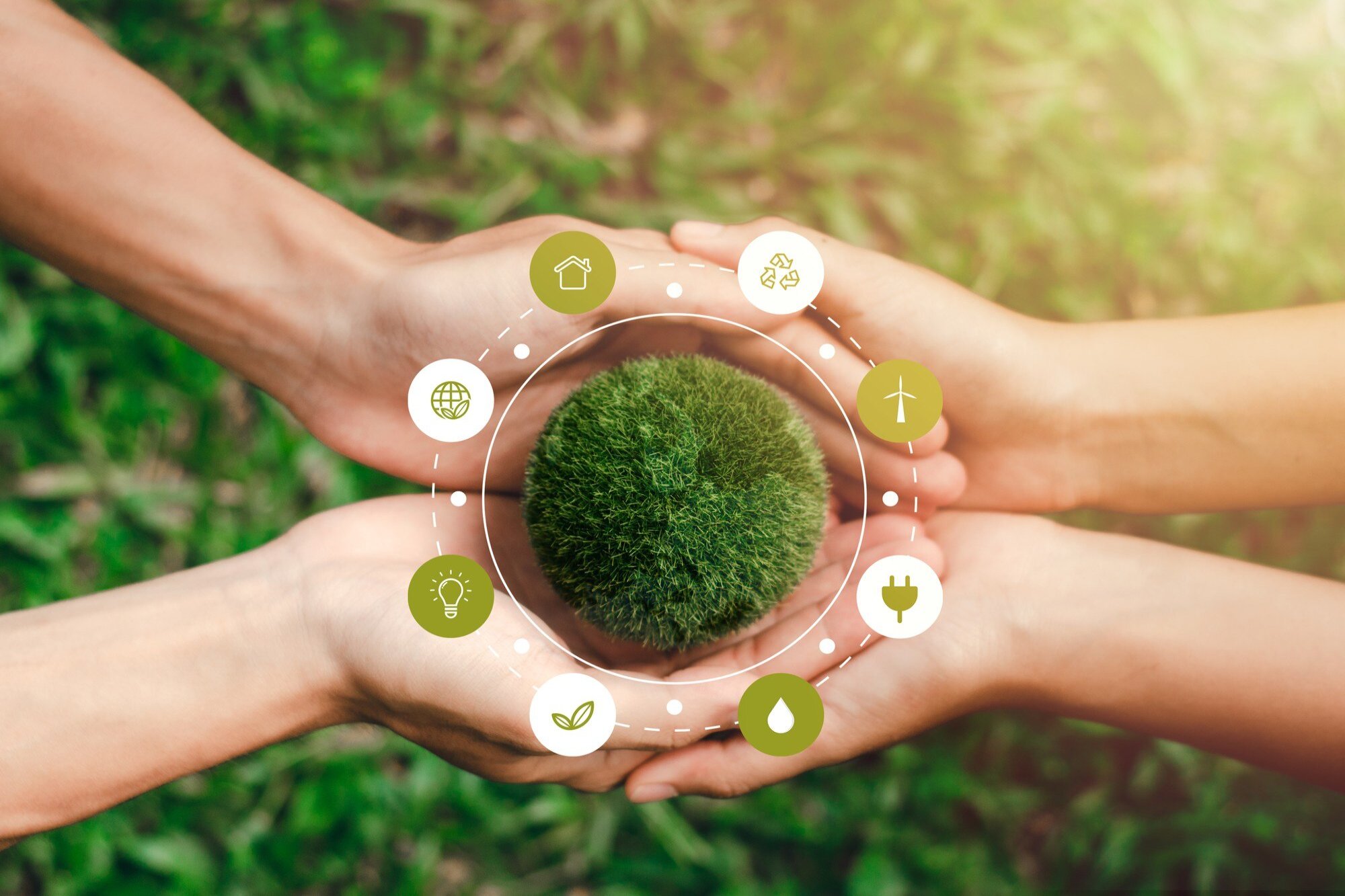 Enviromental Sustainability